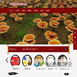满黄旗灵芝孢子粉官网